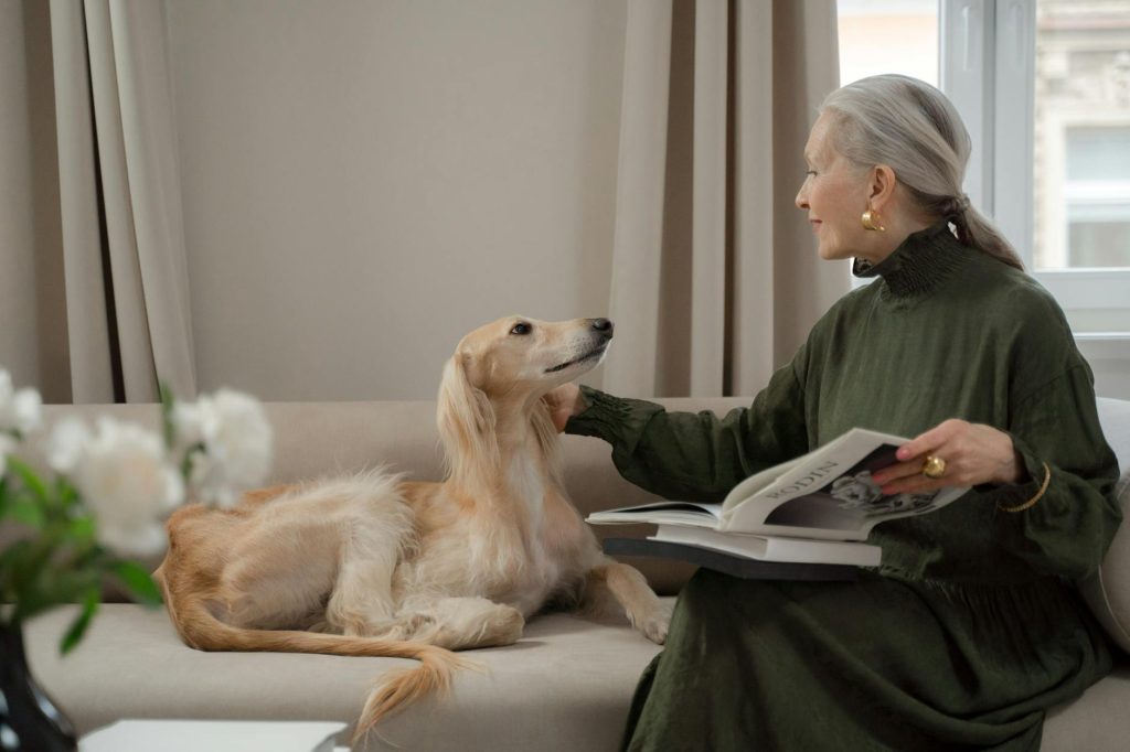 Pet Companionship — The Healing Power of Pets: Why Dogs and Cats Trans
