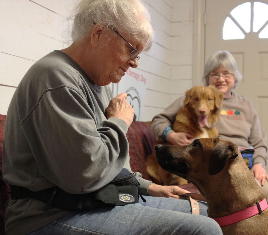 Pet Companionship — Choosing the Right Pet for a Senior Living Alone